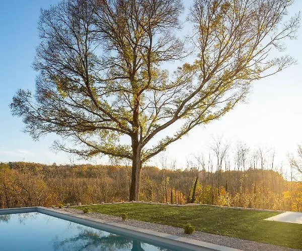 Ulmus Villa Karojba